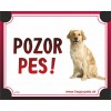 Tabulka POZOR PES  - labrador svetly