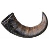 Natural buffalo (bovine) chewing horn, large