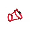 Classic H-harness, L–XL: 75–100 cm/25 mm, red