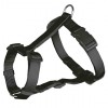 Classic H-harness, M–L: 50–75 cm/20 mm, black