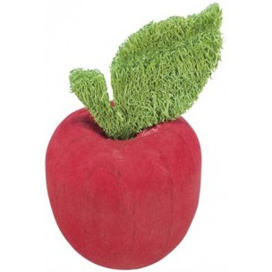 Apple, wood/loofah, ř 5.5 × 9 cm