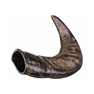 Natural buffalo (bovine) chewing horn, medium