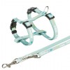 Junior puppy harness with leash, S–M: 23–34 cm/8 mm, 2.00 m, mint