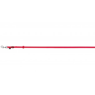 Classic leash, M–L: 1.00 m/20 mm, red