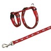 Harness with leash, rabbits, 25–44 cm/10 mm, 1.25 m