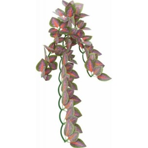 Silk hanging plant, folium perillae, ř 20 × 30 cm