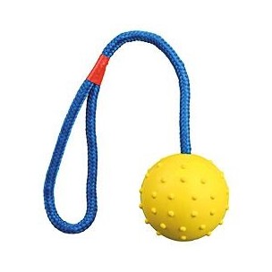 Ball on a rope, natural rubber, ř 6/30 cm