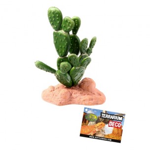 REPTILE NOVA Rastlina do terária 15cm kaktus stredný