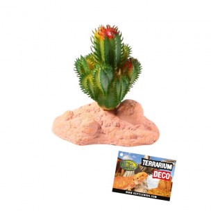 REPTILE NOVA Rastlina do terária 10cm kaktus malý