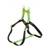 EASY COLOURS XS HARNESS GREEN