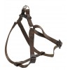 EASY P XL HARNESS BROWN
