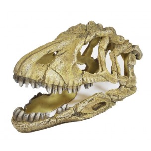 Lebka dinosaura 17cm - akva. dekorácia